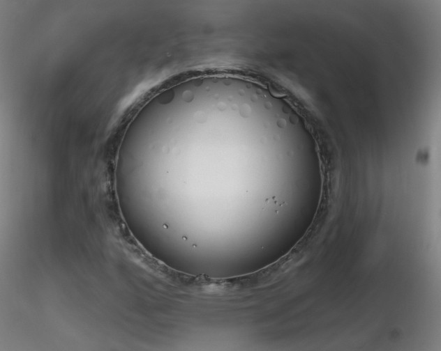 X0000116831160200912181427