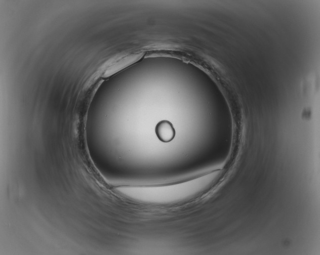 X0000116831161200912181427