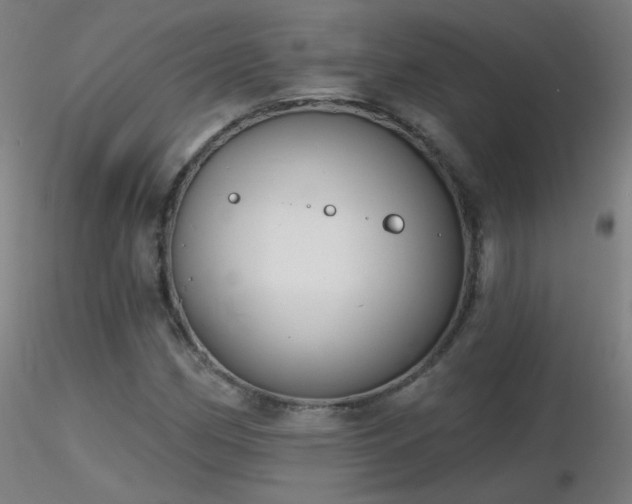 X0000116831162200912181427