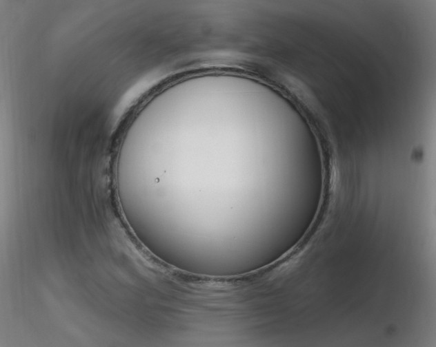 X0000116831164200912181427