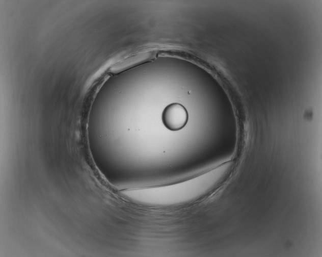 X0000116831165200912181427