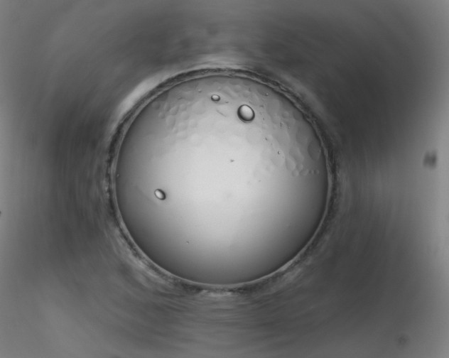 X0000116831168200912181427