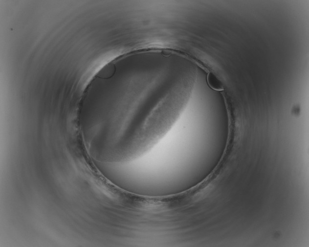 X0000116831170200912181427