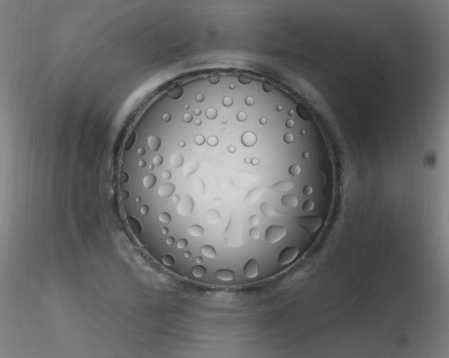 X0000116831172200912181427