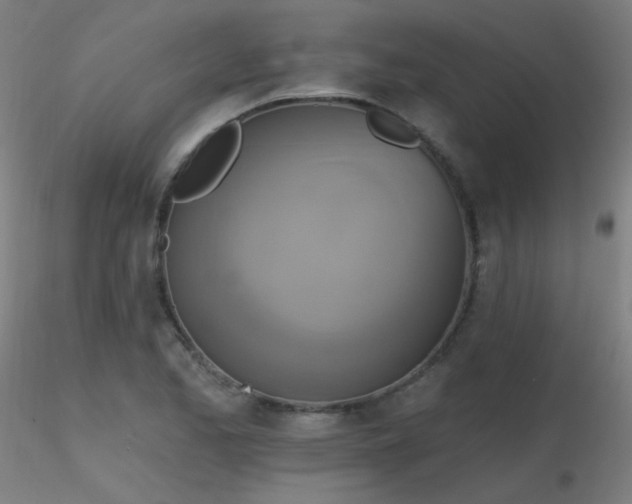 X0000116831173200912181427