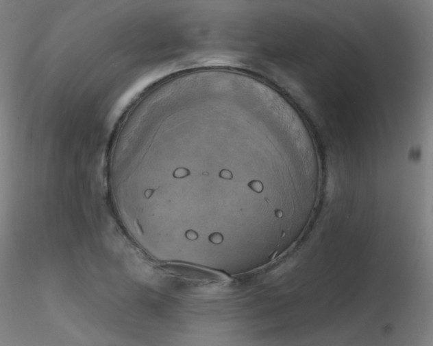 X0000116831174200912181427