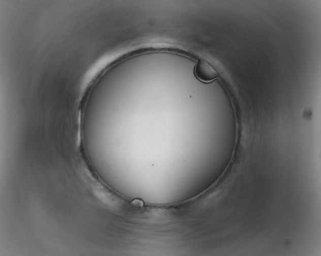 X0000116831175200912181427