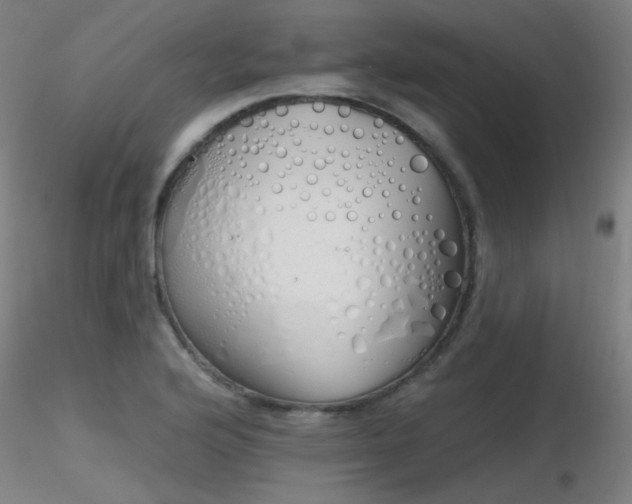 X0000116831176200912181427