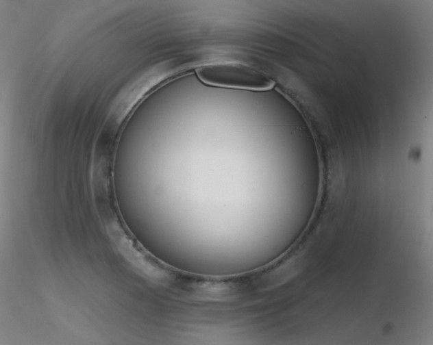 X0000116831177200912181427