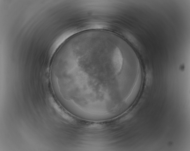X0000116831178200912181427