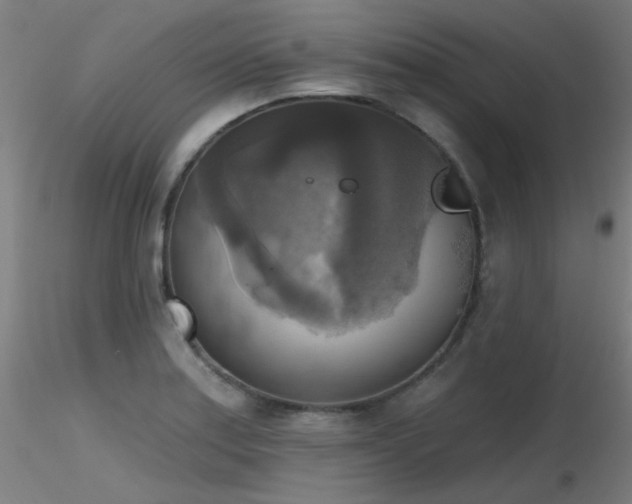 X0000116831179200912181427