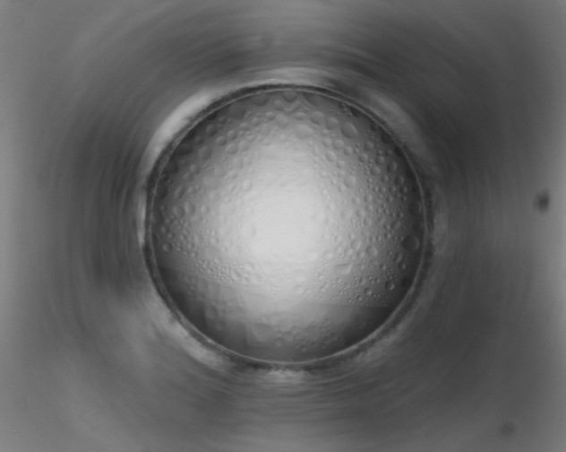 X0000116831180200912181427