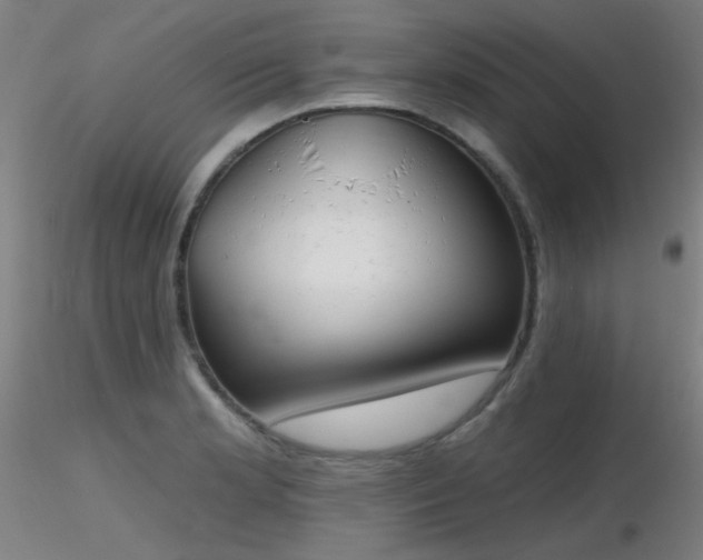 X0000116831181200912181427