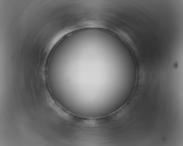 X0000116831182200912181427