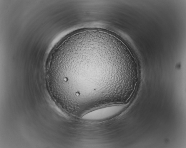 X0000116831184200912181427