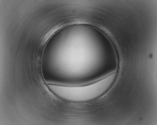 X0000116831185200912181427