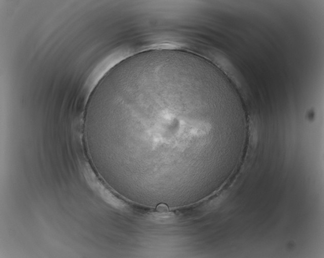 X0000116831186200912181427