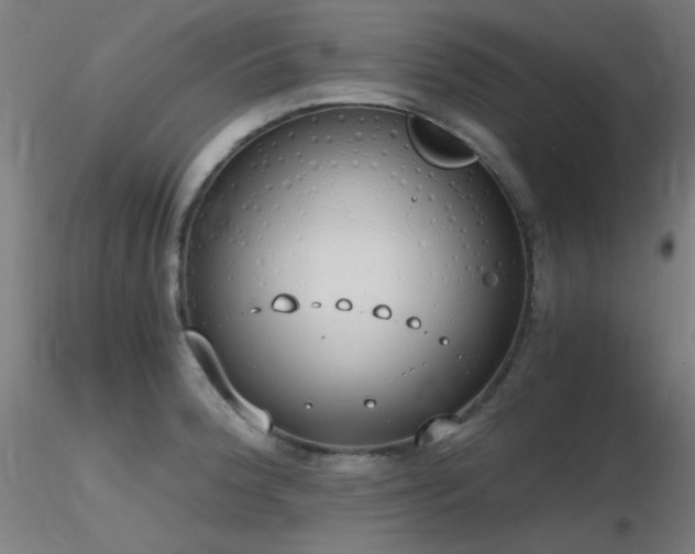 X0000116831188200912181427