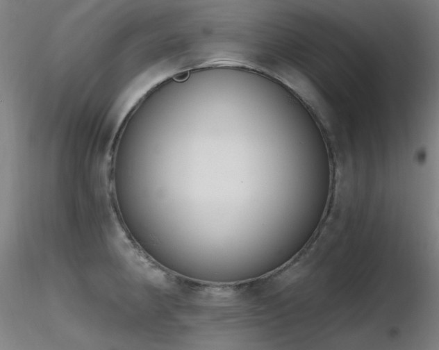 X0000116831190200912181427