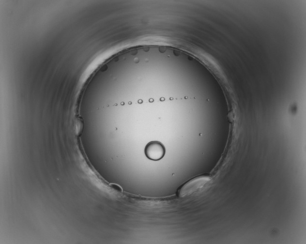 X0000116831192200912181427