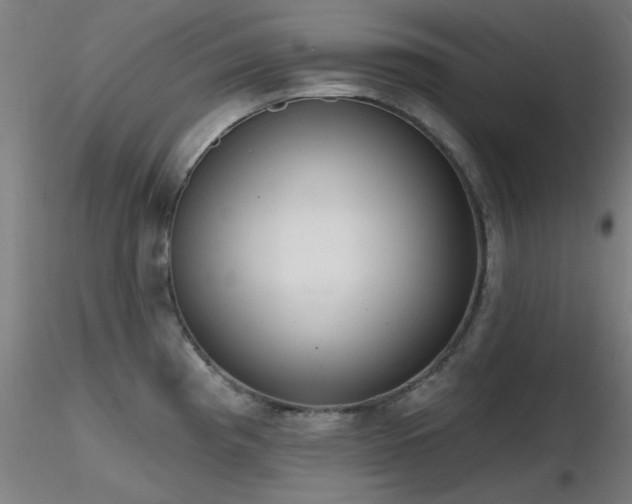 X0000116831193200912181427