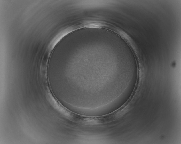 X0000116831194200912181427