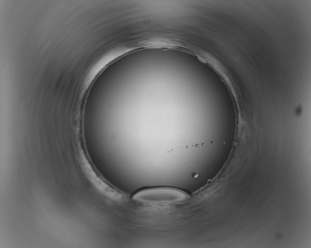 X0000116831195200912181427