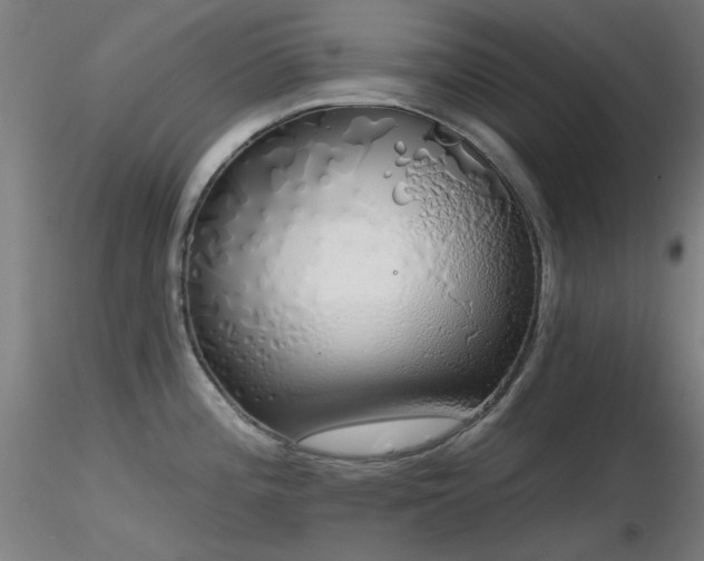 X0000116831196200912181427