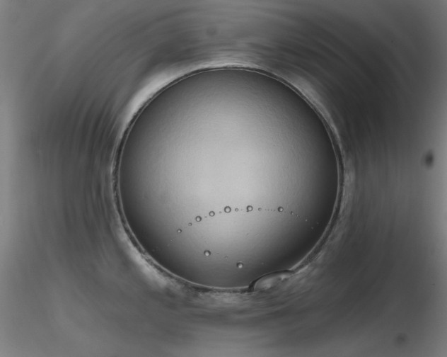X0000116831197200912181427