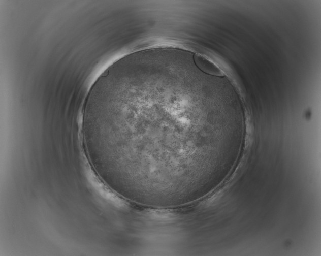 X0000116831198200912181427