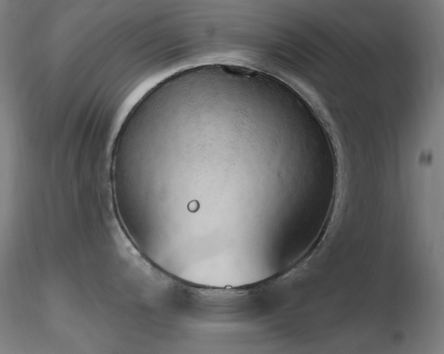 X0000116831200200912181426