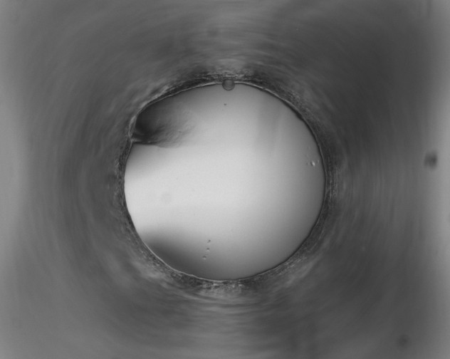 X0000116831201200912181426