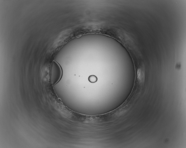 X0000116831203200912181426