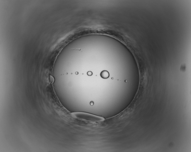 X0000116831205200912181426