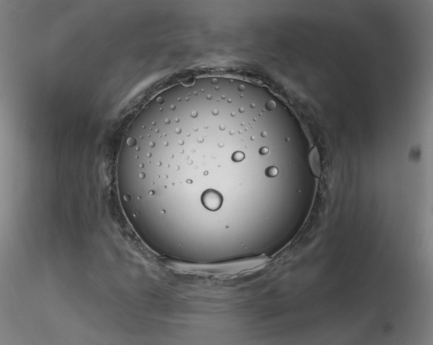 X0000116831206200912181426