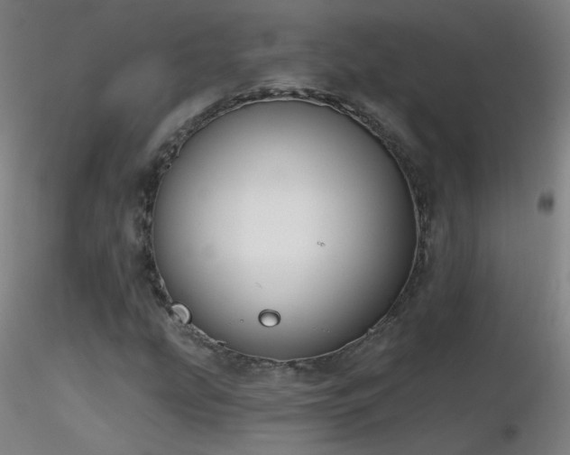 X0000116831207200912181426