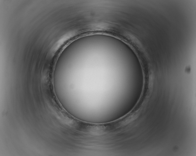 X0000116831210200912181426