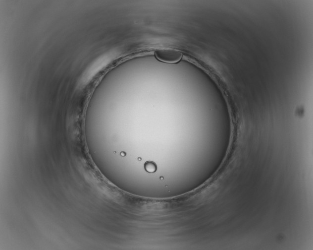 X0000116831211200912181426