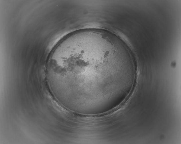 X0000116831212200912181426