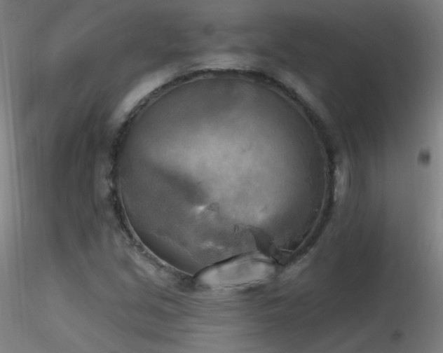 X0000116831213200912181426