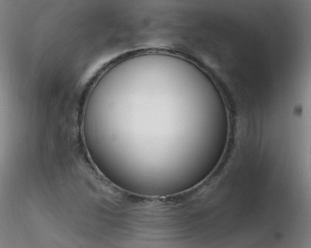 X0000116831214200912181426