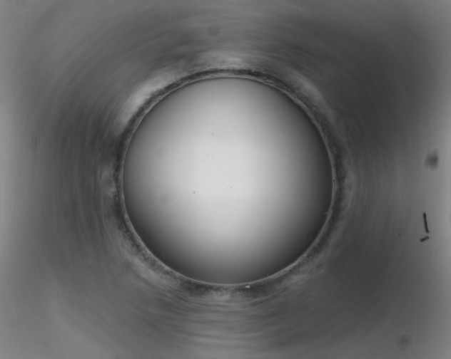 X0000116831218200912181426