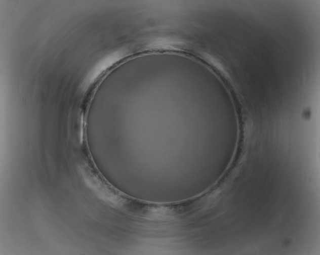 X0000116831219200912181426
