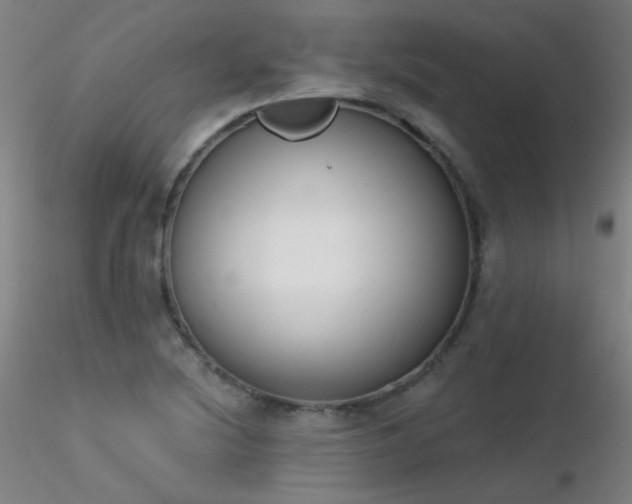 X0000116831220200912181426