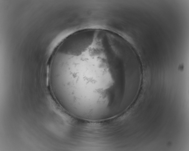 X0000116831223200912181426
