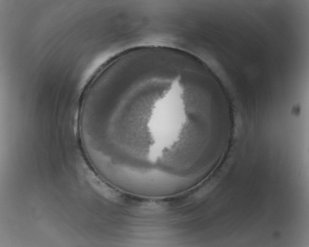 X0000116831224200912181426