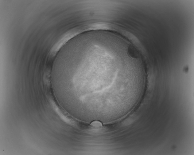 X0000116831225200912181426