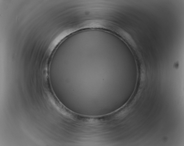 X0000116831226200912181426