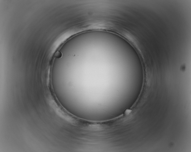 X0000116831227200912181426