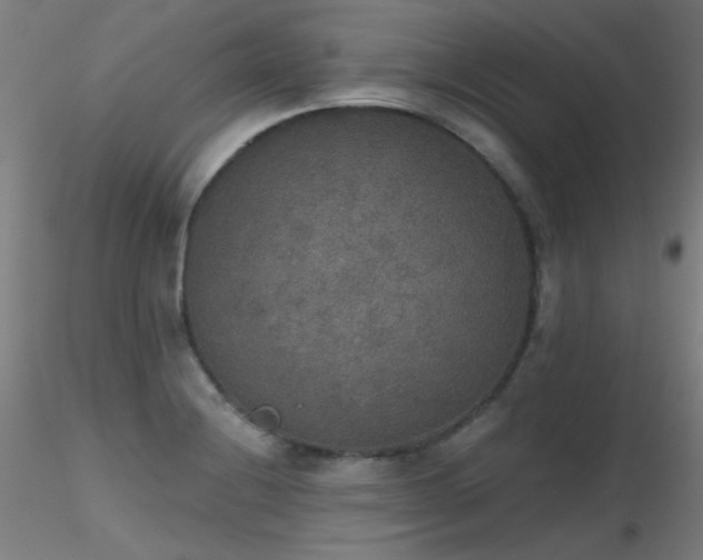 X0000116831228200912181426